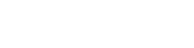 neuro mesh